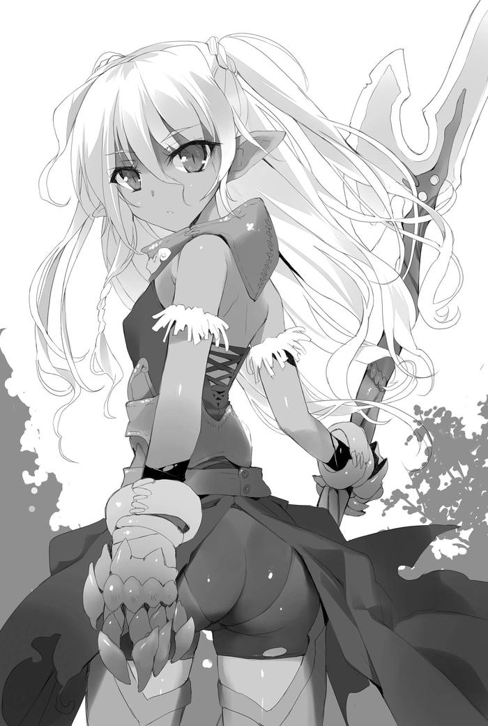 How NOT to Summon a Demon Lord Light Novel Volume 1 — Image 4