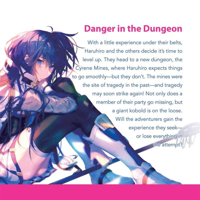 Grimgar of Fantasy and Ash Light Novel Volume 2 — Back Cover