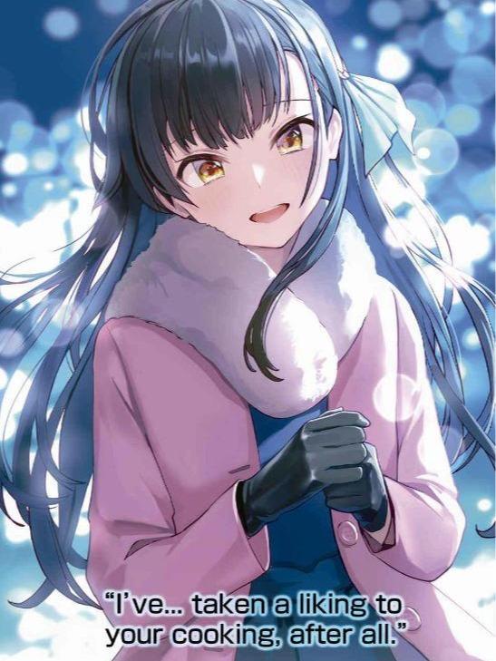 How to Melt the Ice Queen’s Heart Light Novel Volume 1 — Interior