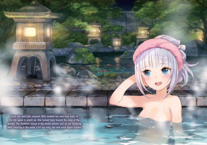 She Professed Herself Pupil of the Wise Man Light Novel Volume 5 — Back Cover