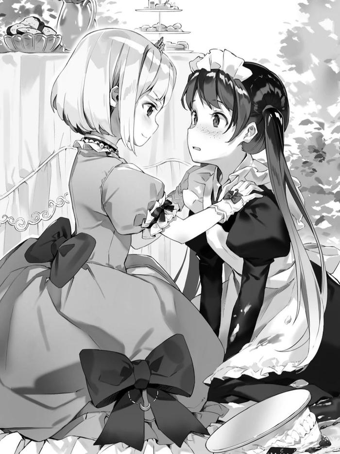 Tearmoon Empire Light Novel Volume 1 — Image 4