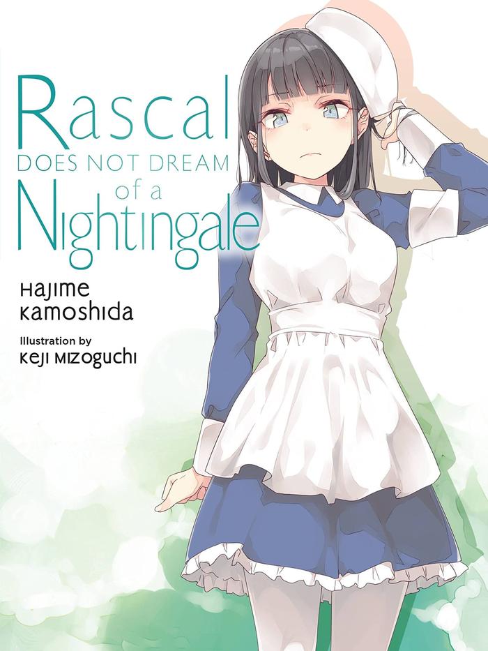 Rascal Does Not Dream of a Nightingale Light Novel Volume 11