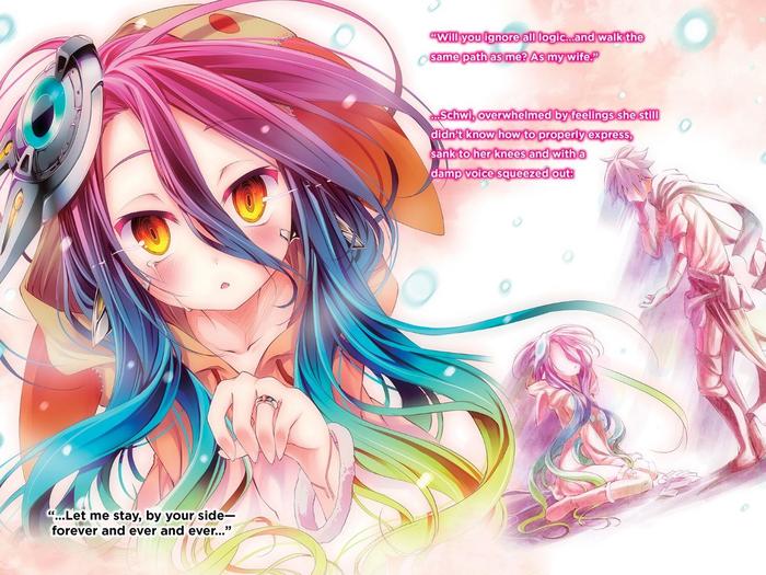No Game No Life Light Novel Volume 6 — Interior