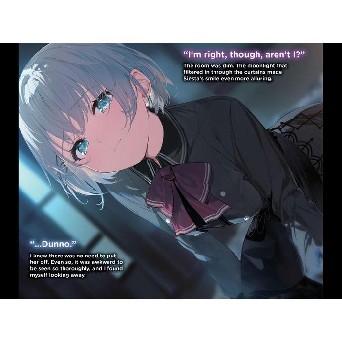 The Detective Is Already Dead Light Novel Volume 5 — Image 4
