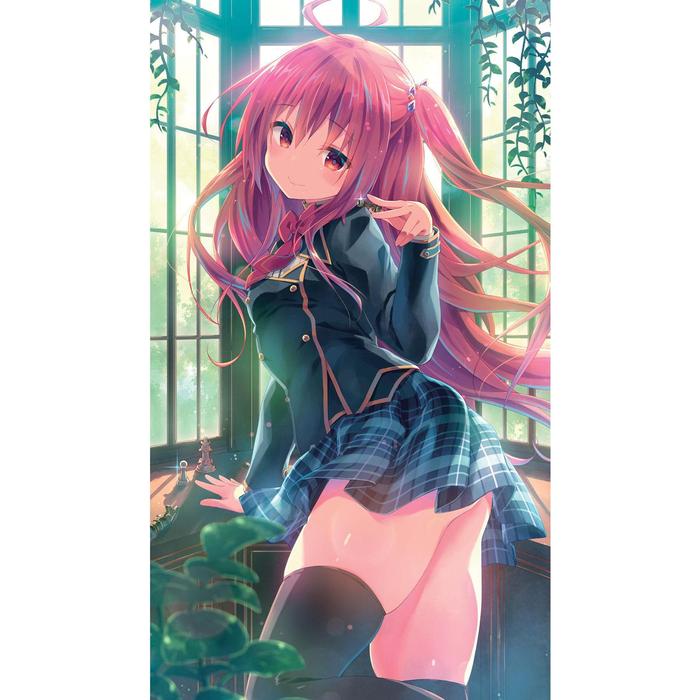 Liar, Liar  Transfer Student Dominates Games by Cheating Light Novel Vol 1 — Back Cover