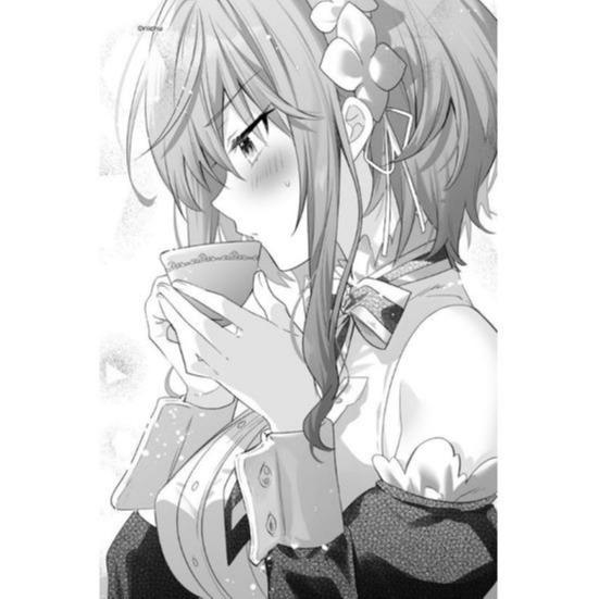 The Vexations of a Shut-In Vampire Princess Light Novel Volume 8 — Image 5