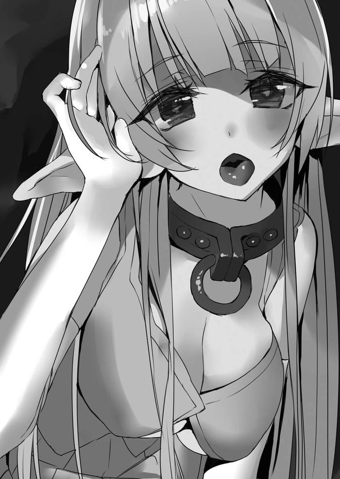 How NOT to Summon a Demon Lord Light Novel Volume 12 — Interior
