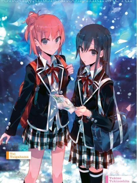 My Youth Romantic Comedy Is Wrong, As I Expected Light Novel Vol 6.5 — Back Cover