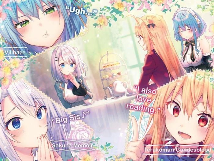 The Vexations of a Shut-In Vampire Princess Light Novel Volume 2 — Back Cover