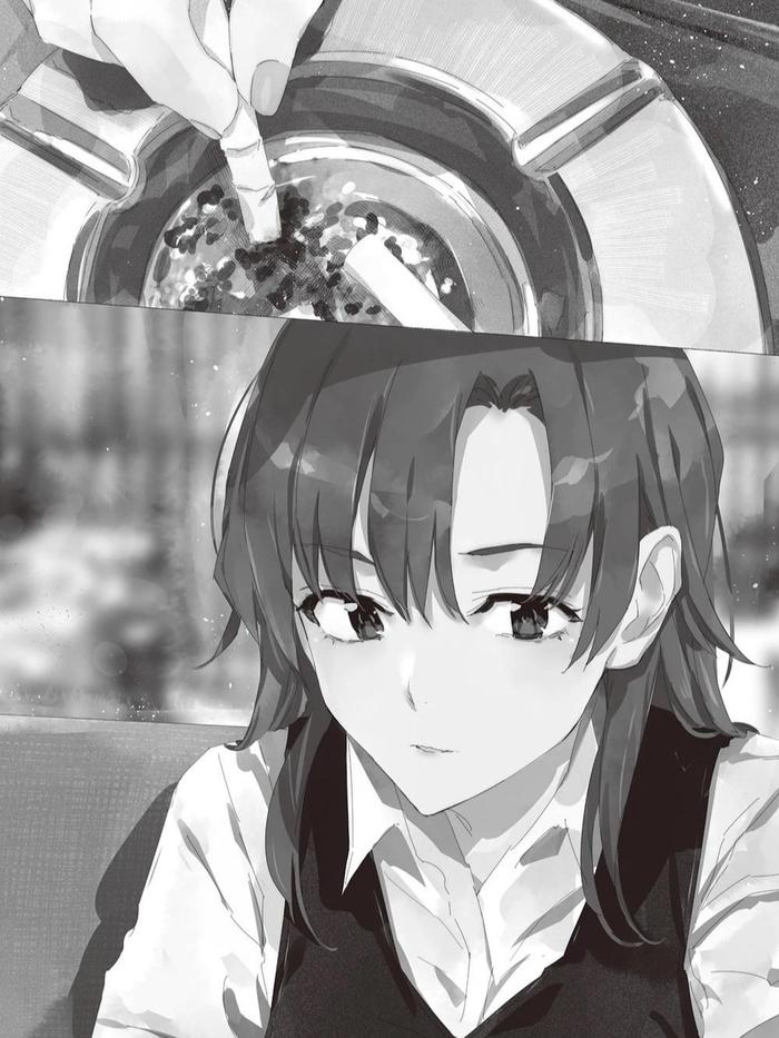 My Youth Romantic Comedy Is Wrong, As I Expected Light Novel Volume 13 — Image 4