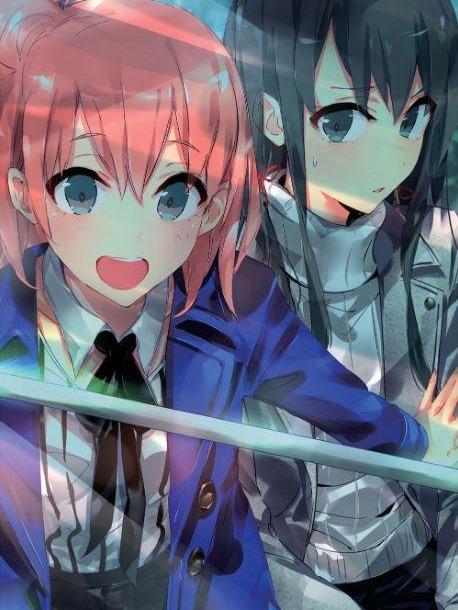 My Youth Romantic Comedy Is Wrong, As I Expected Light Novel Volume 11 — Interior
