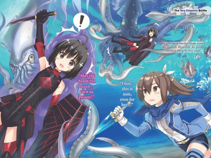 Bofuri: I Don't Want to Get Hurt Light Novel Volume 2 — Interior