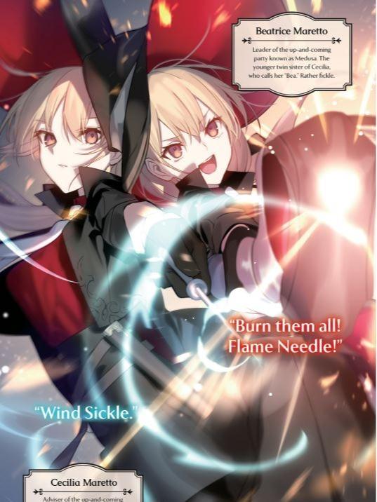 The Kept Man of the Princess Knight Light Novel Volume 3 — Back Cover