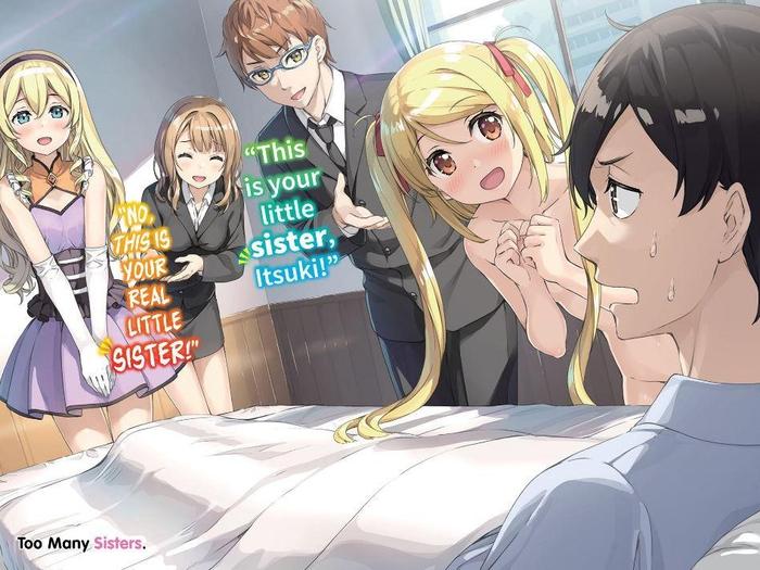 A Sister's All You Need. Light Novel Volume 11 — Back Cover