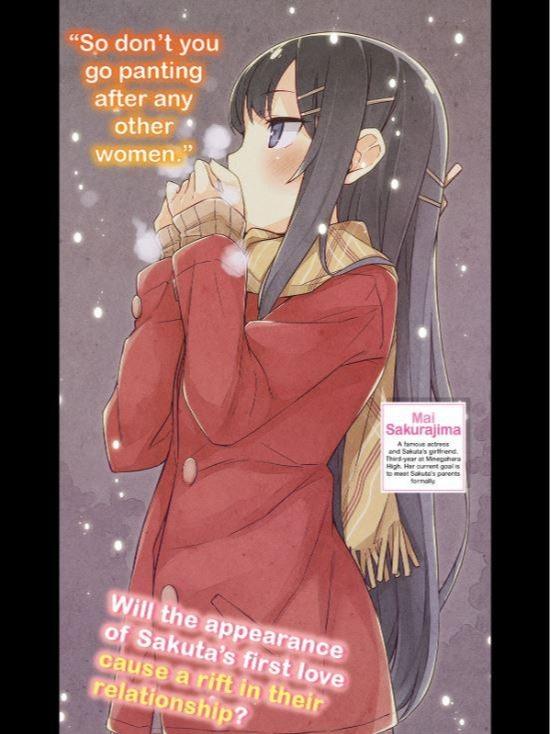 Rascal Does Not Dream of a Dreaming Girl Light Novel Volume 6 — Interior