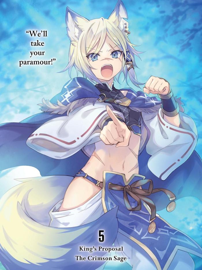 King's Proposal Light Novel Volume 5 — Back Cover