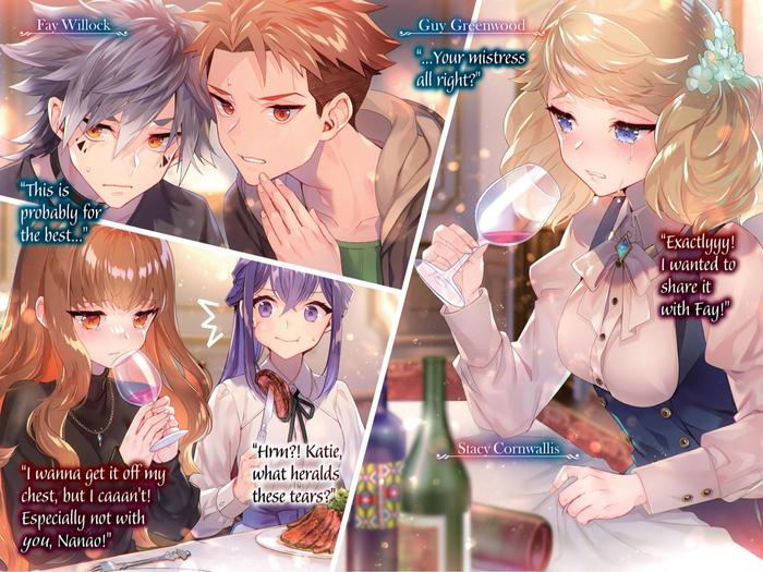 Reign of the Seven Spellblades Light Novel Volume 11 — Back Cover