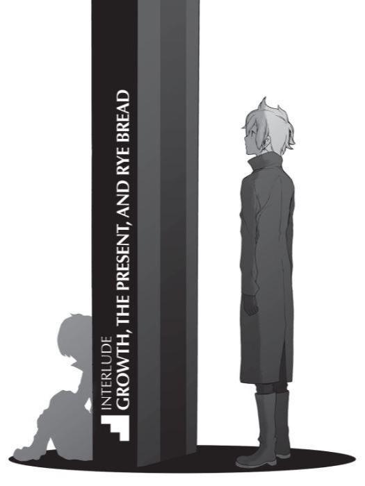 Is It Wrong to Try to Pick Up Girls in a Dungeon Light Novel Volume 15 — Image 4