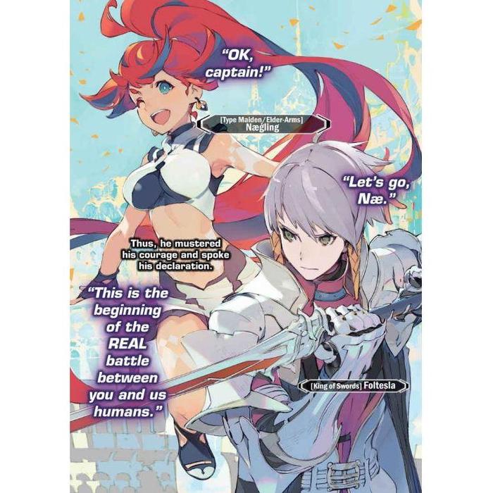 Infinite Dendrogram Light Novel Volume 11 — Interior
