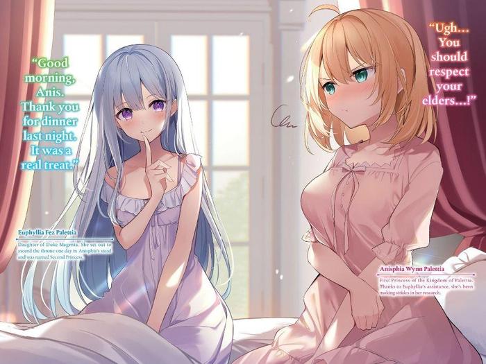 The Magical Revolution of the Reincarnated Princess Light Novel Vol. 4 — Back Cover