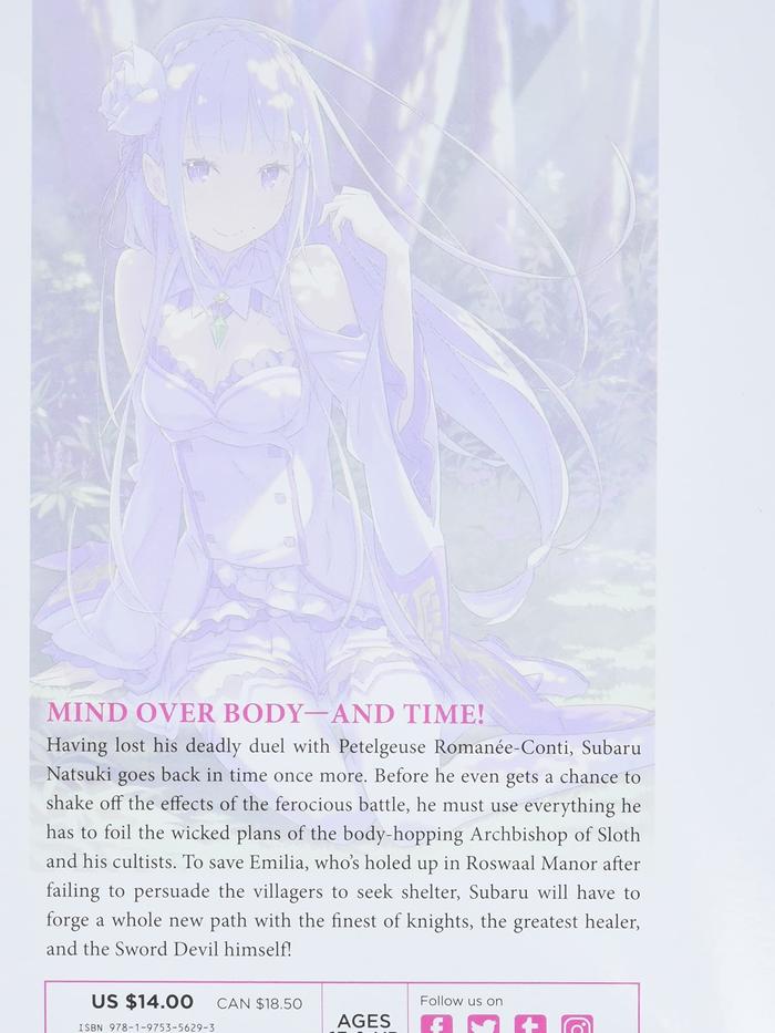 Re:ZERO Starting Life in Another World Light Novel Volume 9 — Back Cover