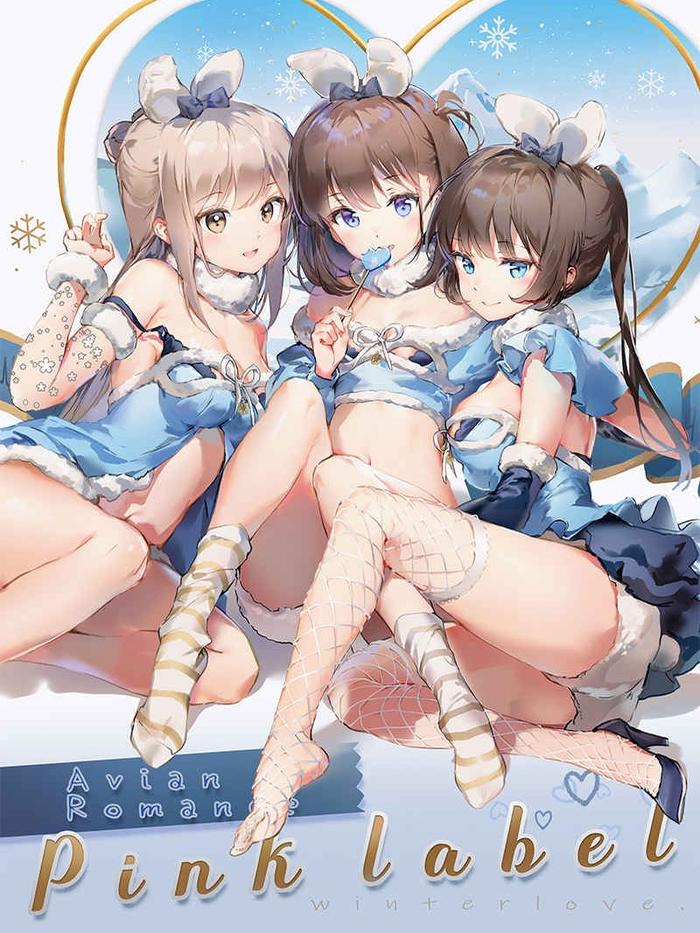 Avian Romance Pink Label Winterlove Doujinshi Illustration Book - Anmi