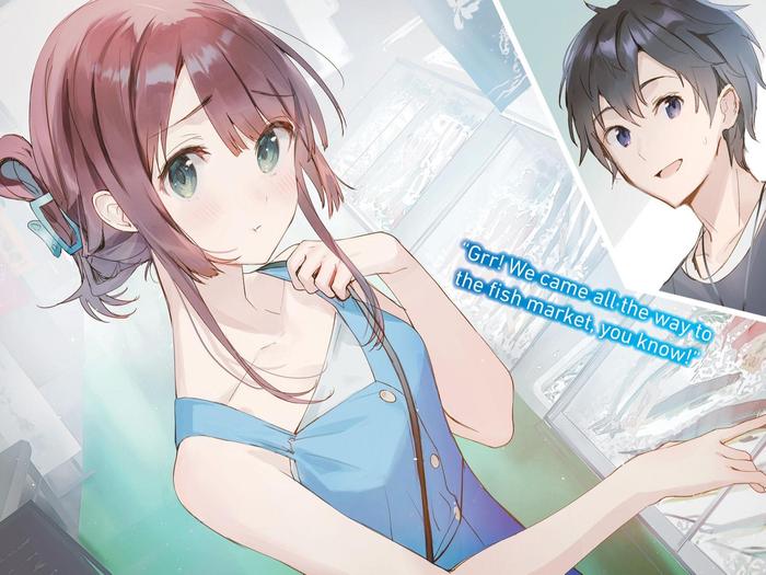 Chitose Is in the Ramune Bottle Light Novel Volume 6.5 — Interior