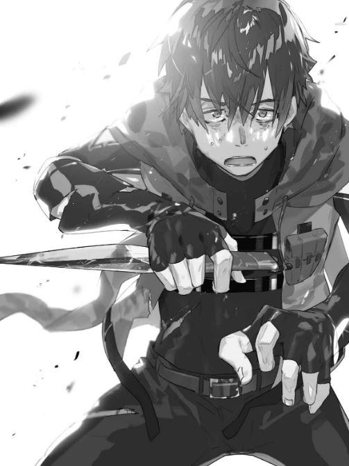 Grimgar of Fantasy and Ash Light Novel Volume 11 — Image 4