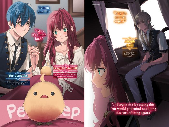 If Villainess and Villain Met and Fell in Love Light Novel Volume 2 — Interior