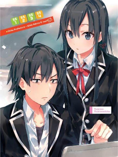 My Youth Romantic Comedy Is Wrong, As I Expected Light Novel Vol 7.5 — Interior