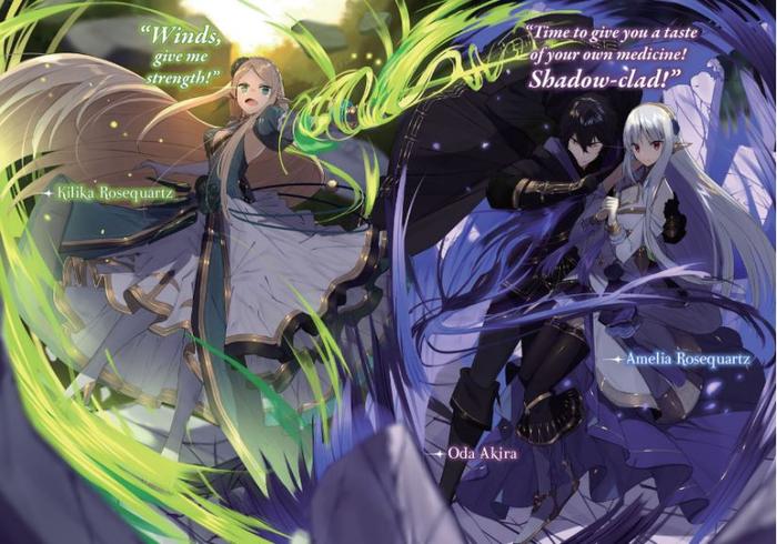My Status as an Assassin Obviously Exceeds the Hero Light Novel Vol. 1 — Interior