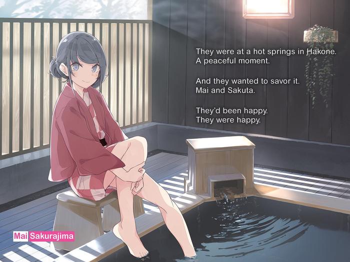 Rascal Does Not Dream of His Student Light Novel Volume 12 — Image 5