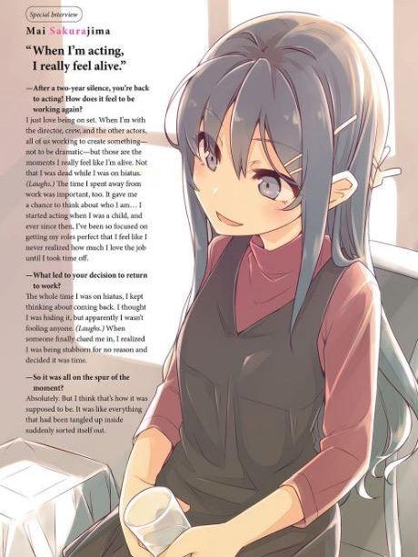 Rascal Does Not Dream of Siscon Idol Light Novel Volume 4 — Back Cover