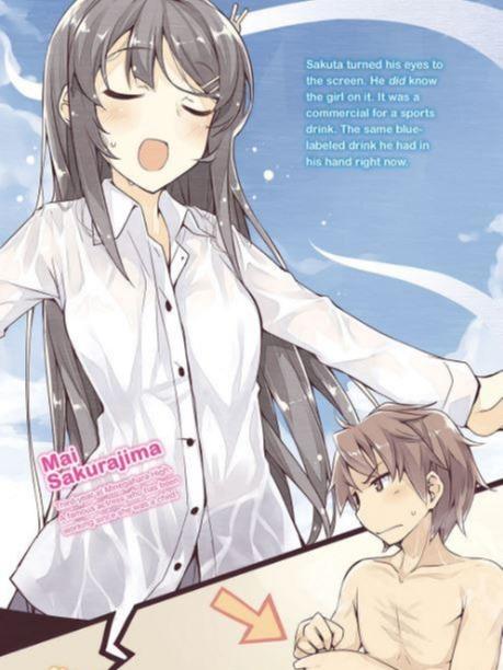 Rascal Does Not Dream of Petite Devil Kohai Light Novel Volume 2 — Back Cover