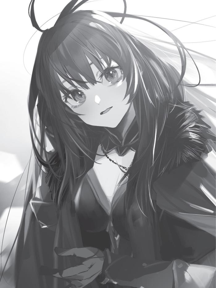 Witch and Mercenary Light Novel Volume 2 — Image 4