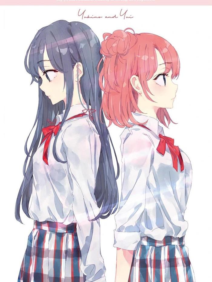 My Youth Romantic Comedy Is Wrong, As I Expected Light Novel Volume 13 — Interior