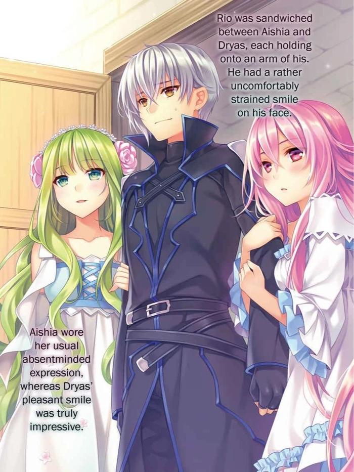 Seirei Gensouki: Spirit Chronicles Omnibus Light Novel Volume 3 — Back Cover
