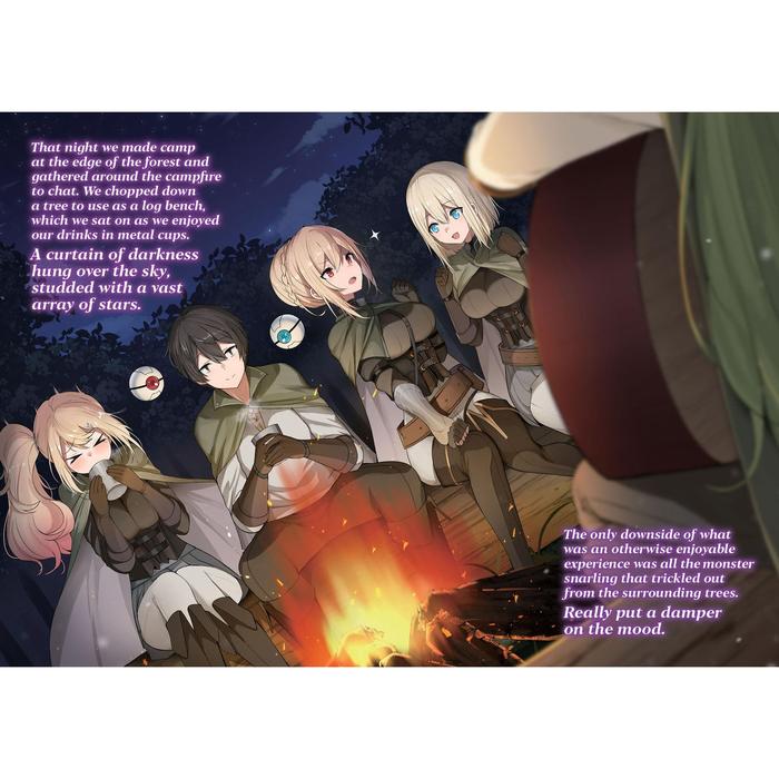 Trapped in Dating Sim: Otome Games Tough for Mobs Light Novel Volume 10 — Interior
