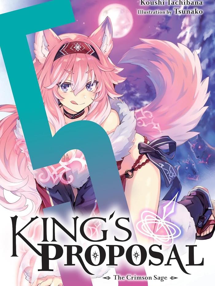 King's Proposal Light Novel Volume 5