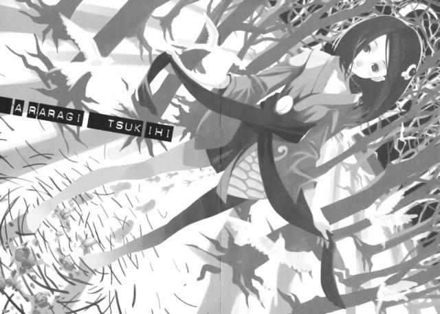 Nisemonogatari Fake Tale Part 2 Light Novel — Interior