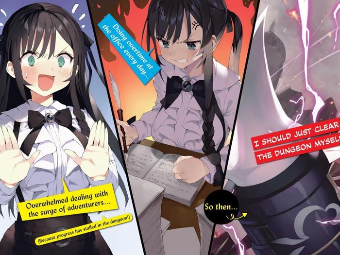 I May Be a Guild Receptionist, Solo Any Boss Light Novel Volume 1 — Interior