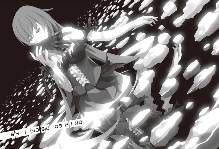 Onimonogatari Demon Tale Light Novel — Interior