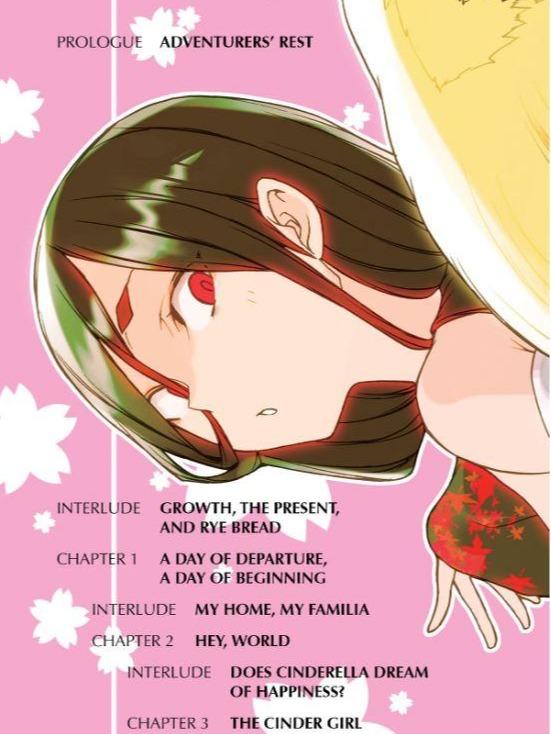 Is It Wrong to Try to Pick Up Girls in a Dungeon Light Novel Volume 15 — Interior