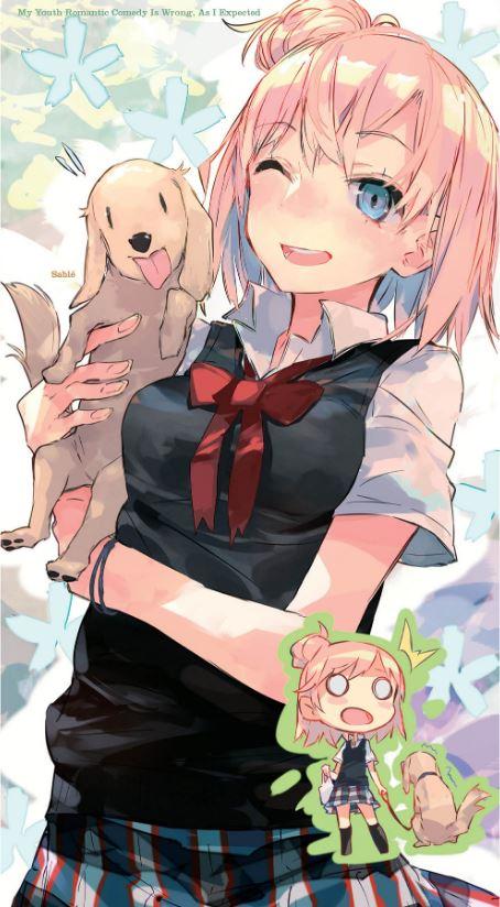 My Youth Romantic Comedy Is Wrong, As I Expected Light Novel Volume 5 — Interior