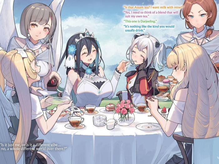 Free Life Fantasy Online Immortal Princess Light Novel Volume 4 — Back Cover