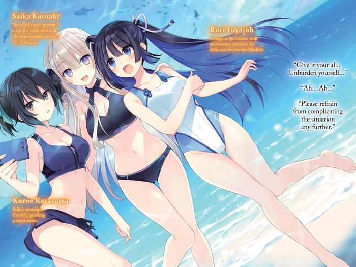 King's Proposal Light Novel Volume 3 — Interior